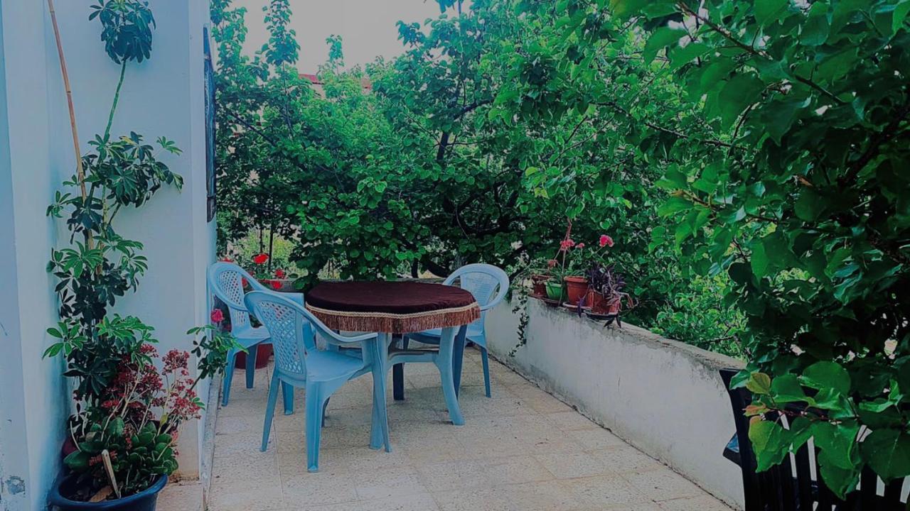 Jerash Canopy Γέρασα Εξωτερικό φωτογραφία