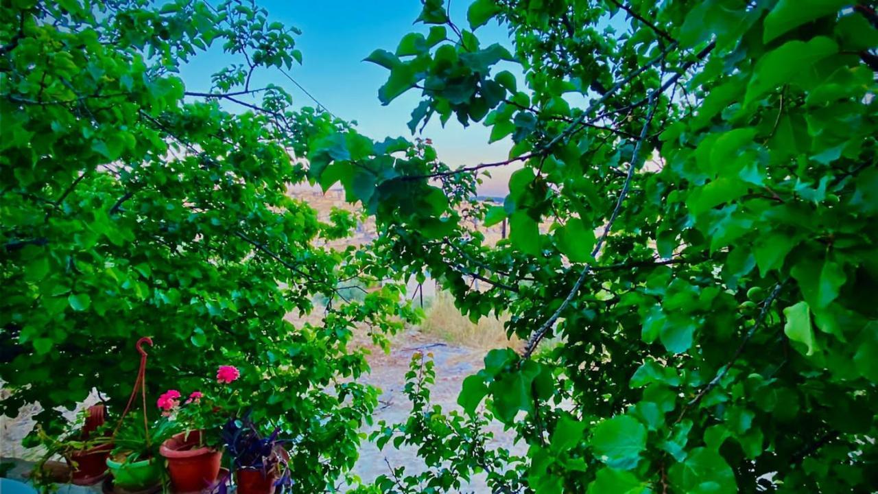 Jerash Canopy Γέρασα Εξωτερικό φωτογραφία
